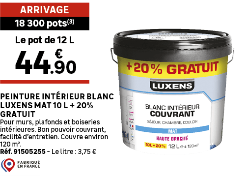 Le pot de 12 L,18 300 pots(3),Arrivage,Peinture int rieur blanc LUXENS Mat 10 L + 20% gratuit Pour murs, plafonds et ...