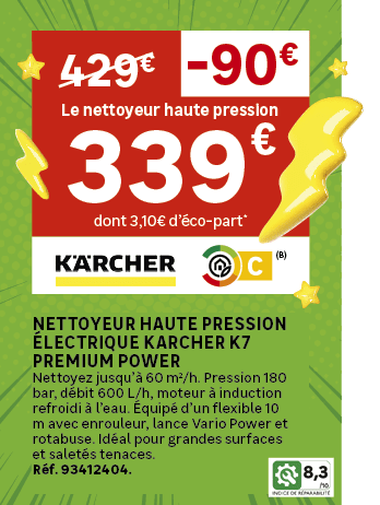 Premium power