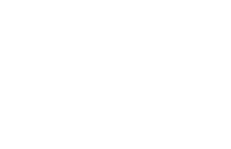  15% Sur les lamelles occultantes PVC IDEAL GARDEN et DIRICKX(2)